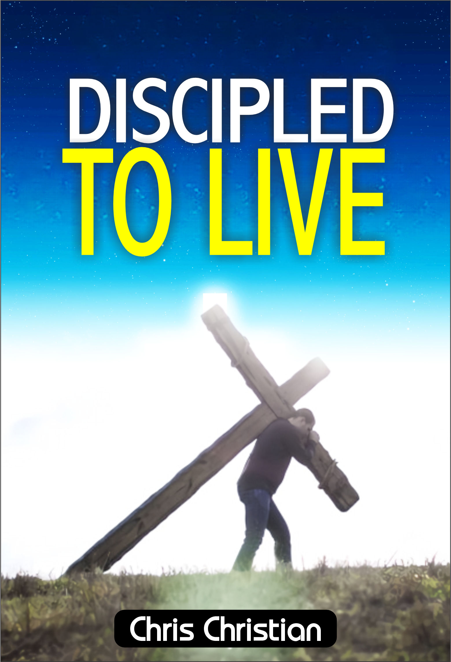 DISCIPLED TO LIVE - Image 3