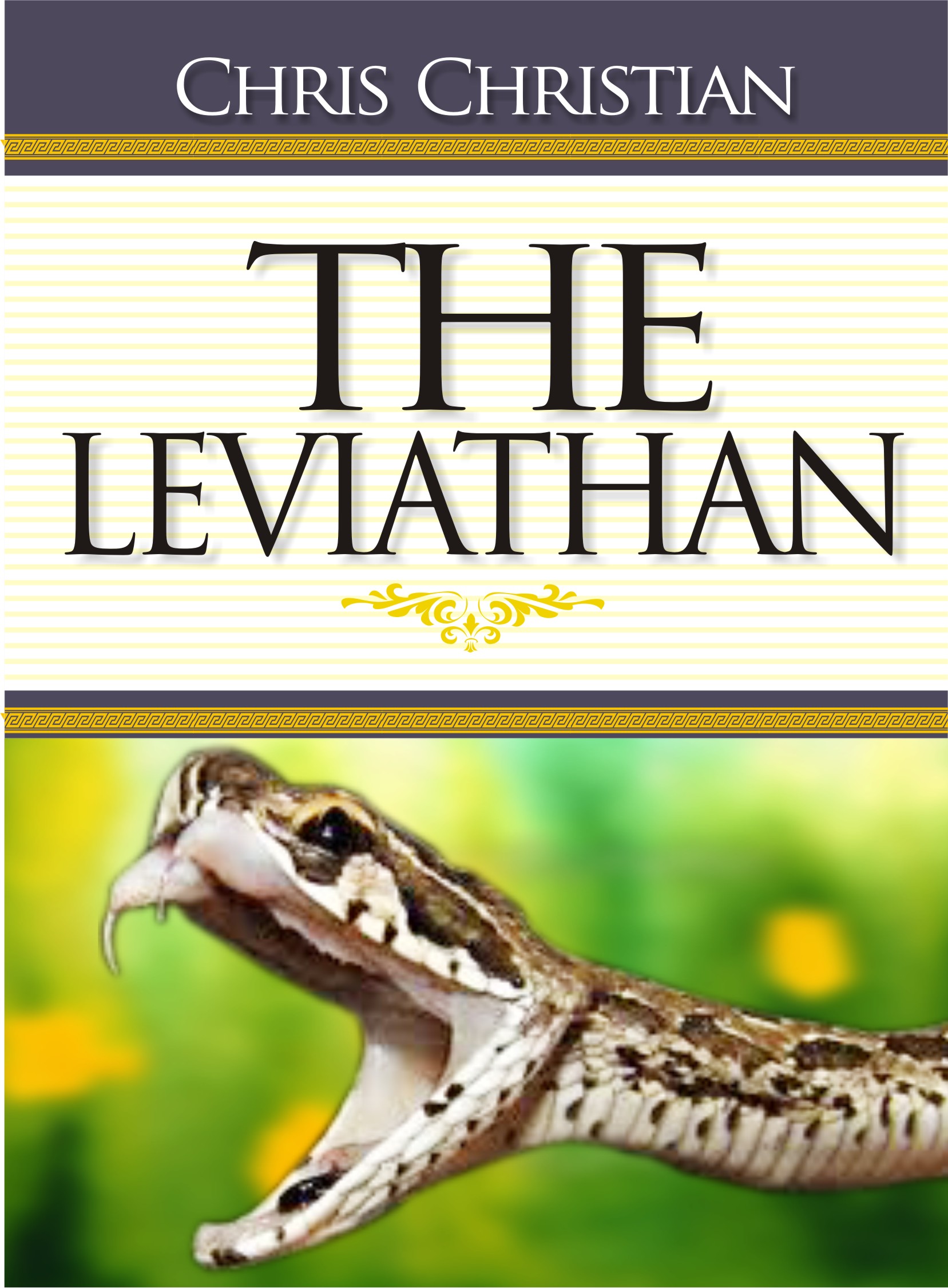 THE LEVIATHAN - Image 3