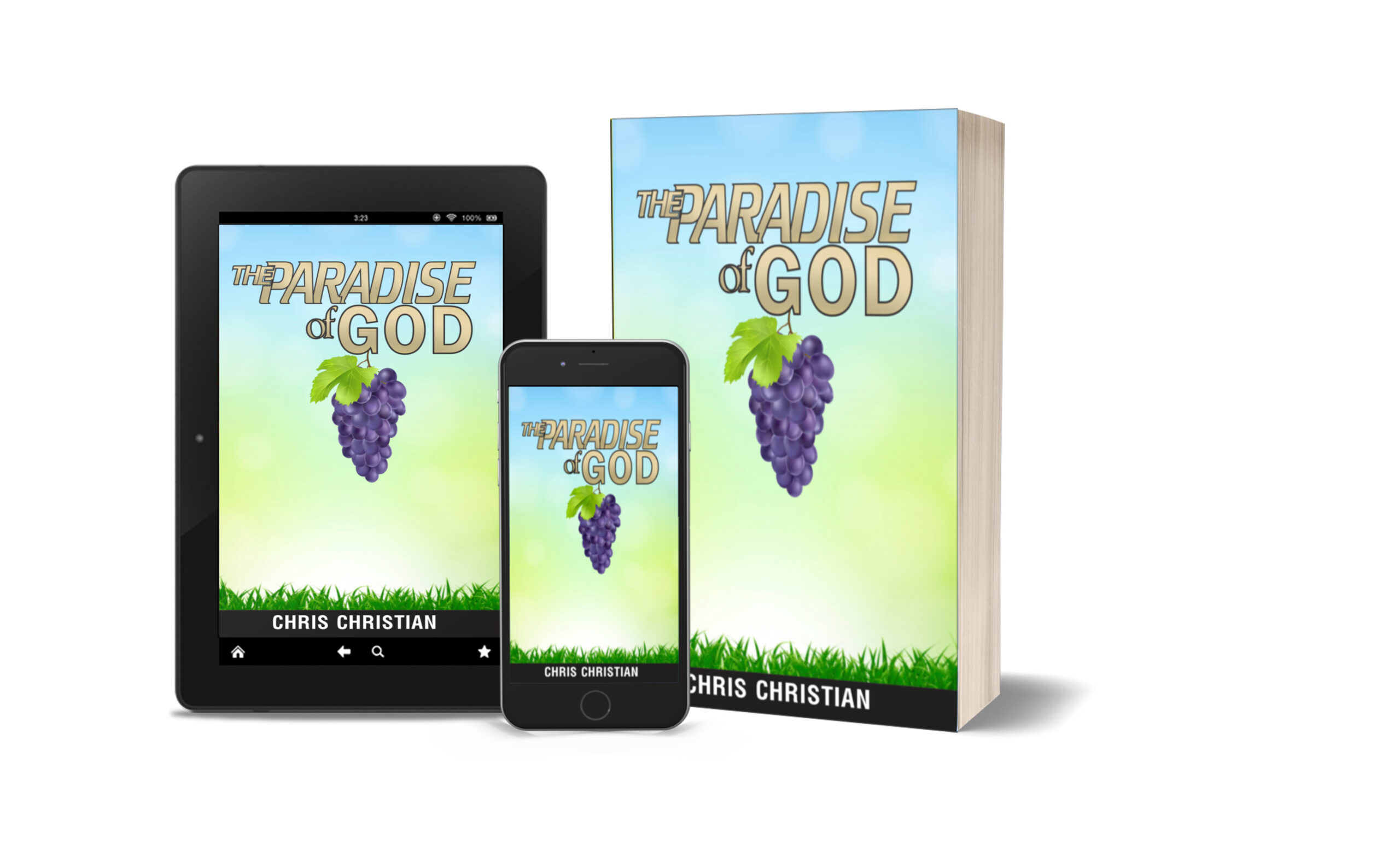 THE PARADISE OF GOD - Image 2