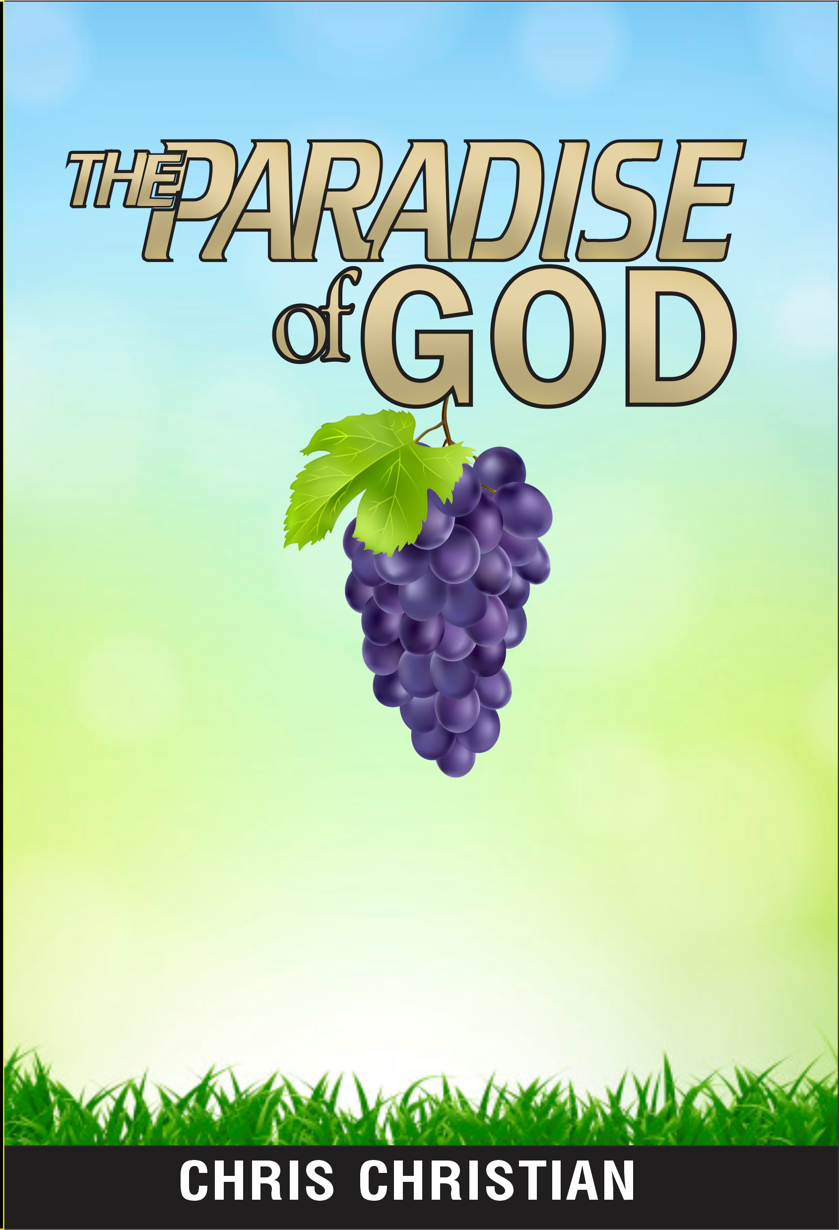 THE PARADISE OF GOD - Image 3