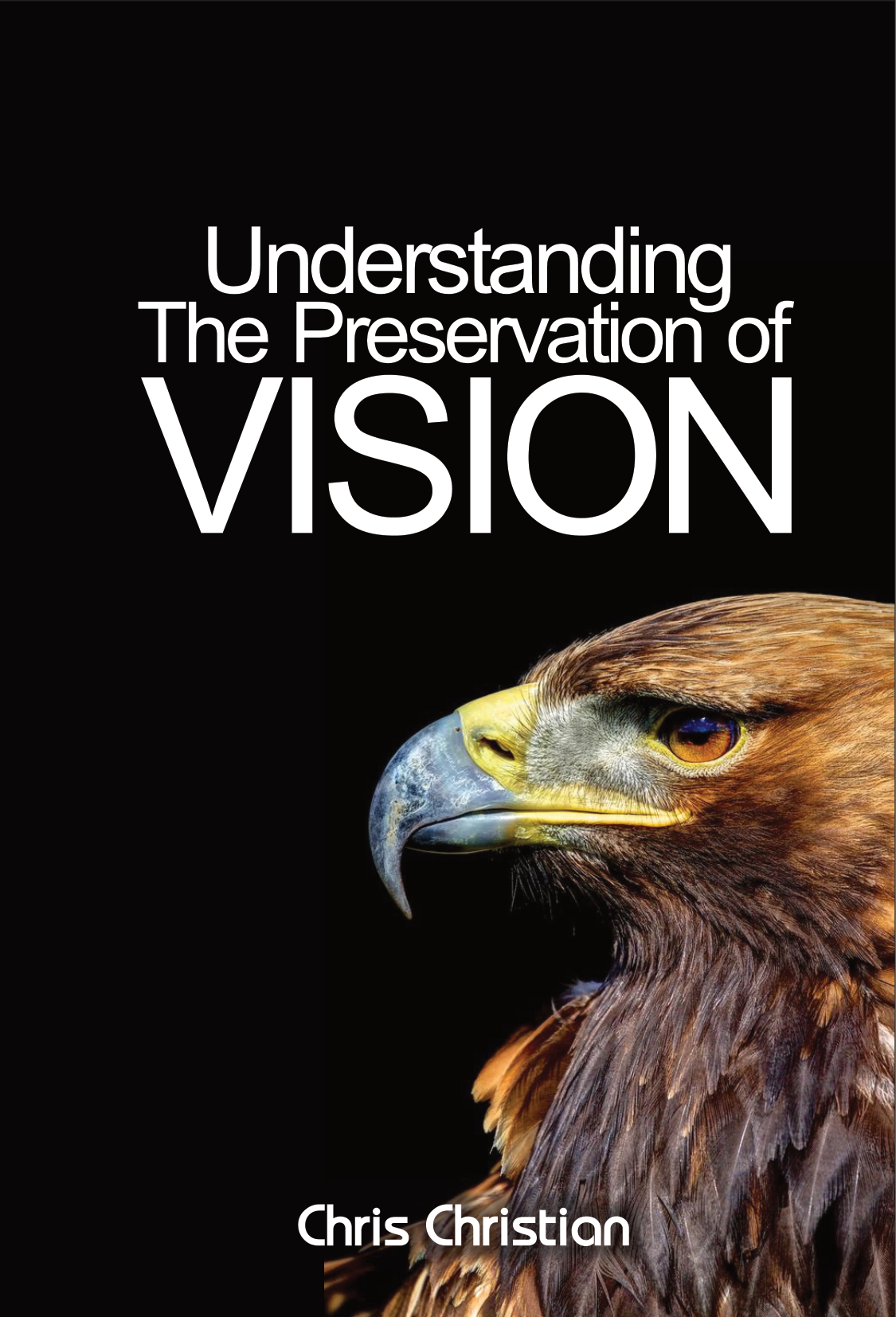 UNDERSTANDING THE PRESERVATION OF VISION - Image 3