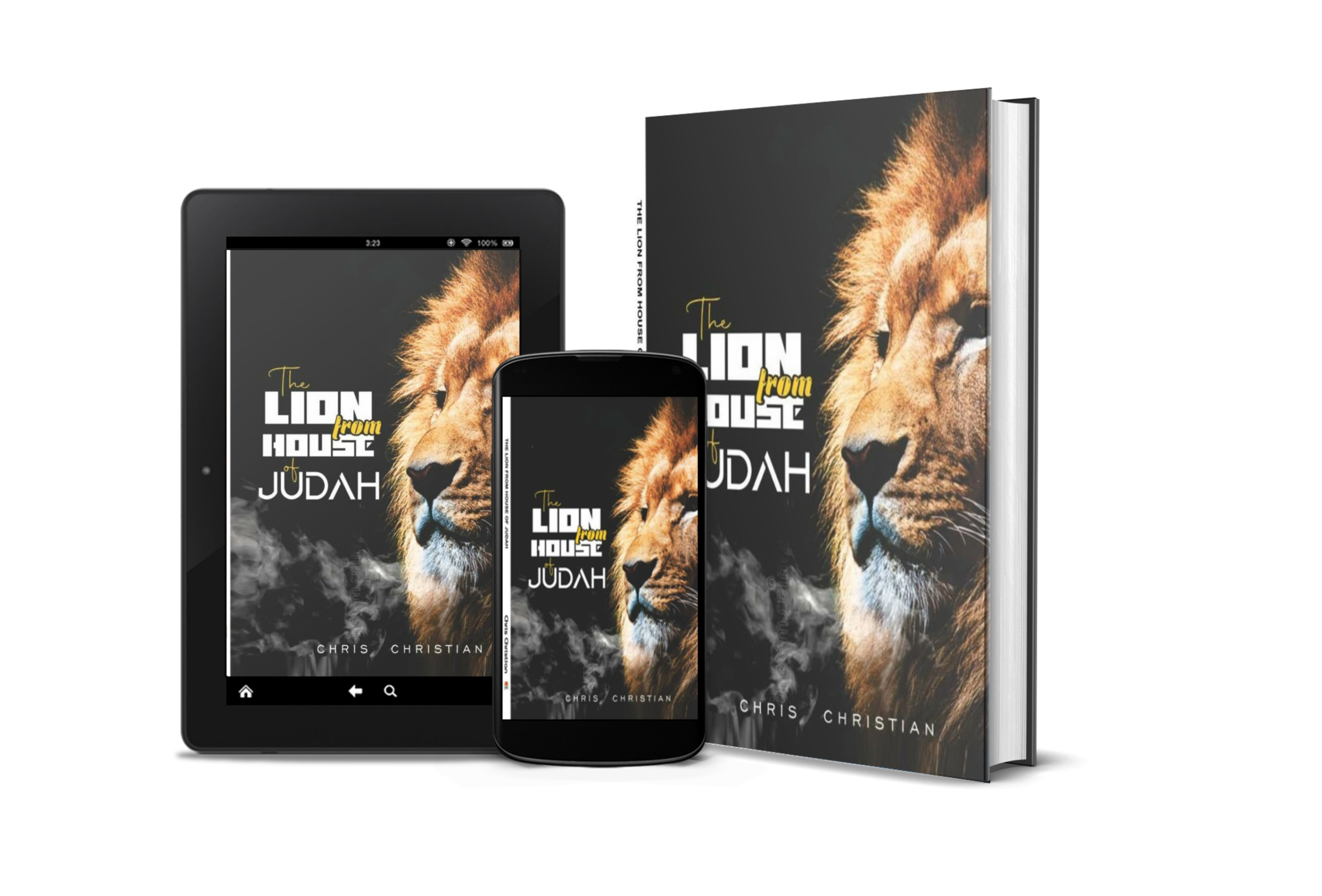 THE LION FROM THE HOUSE OF JUDAH - Image 2