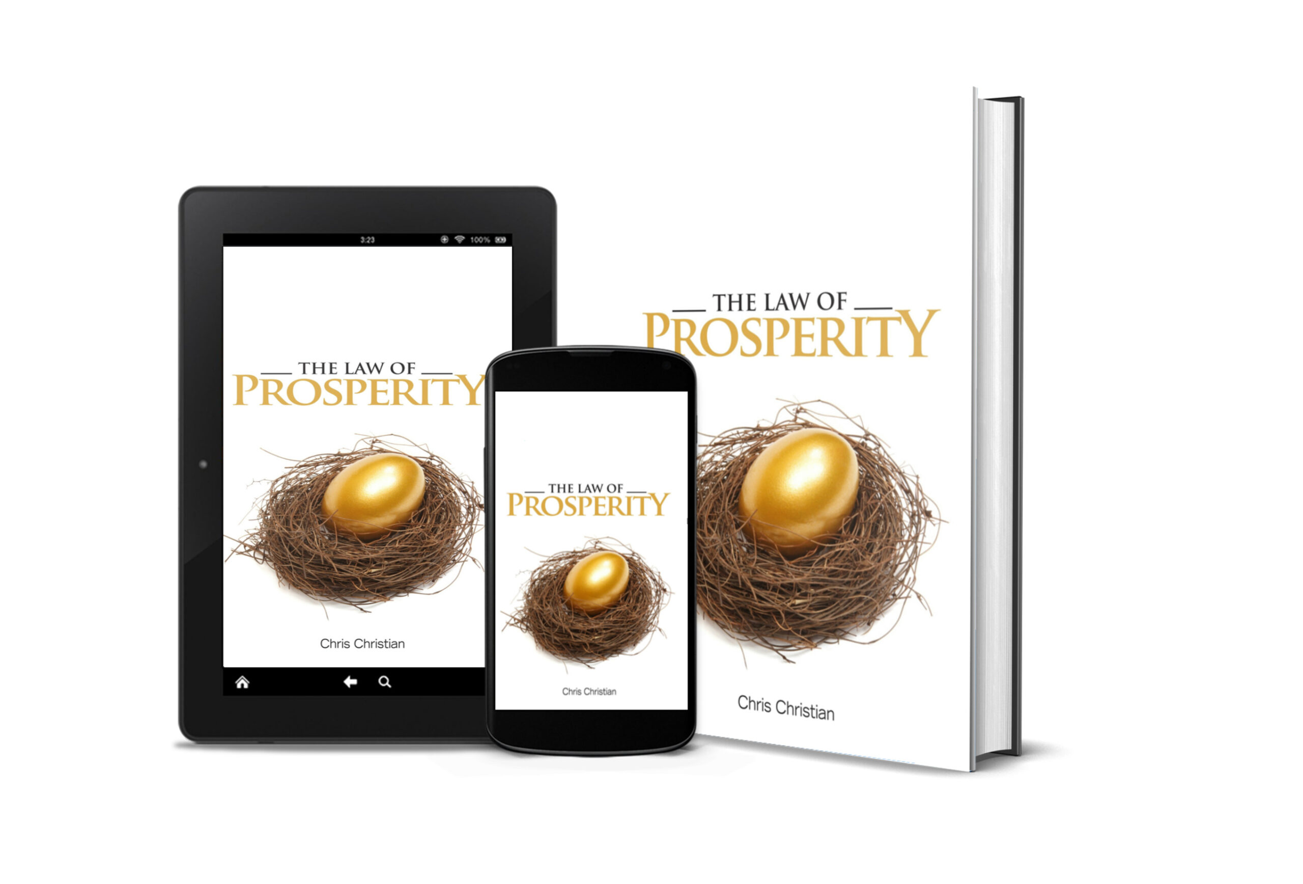 THE LAW OF PROSPERITY - Image 2