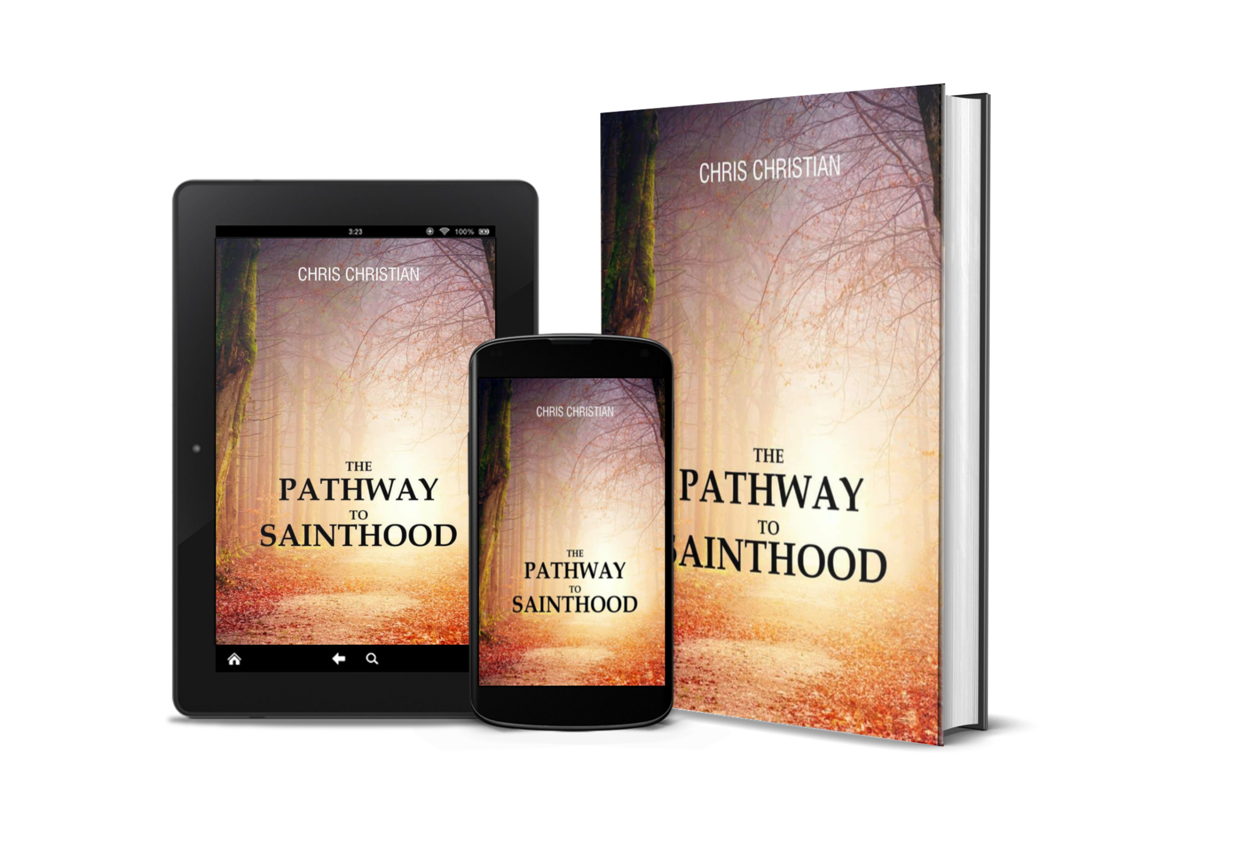 THE PATHWAY TO SAINTHOOD - Image 2