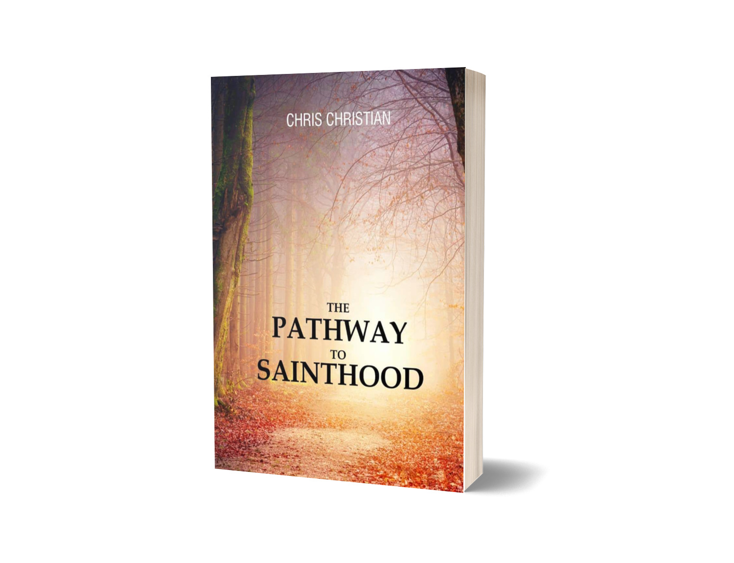 THE PATHWAY TO SAINTHOOD