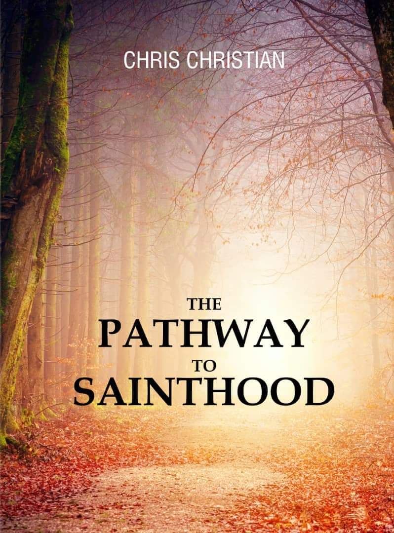 THE PATHWAY TO SAINTHOOD - Image 3