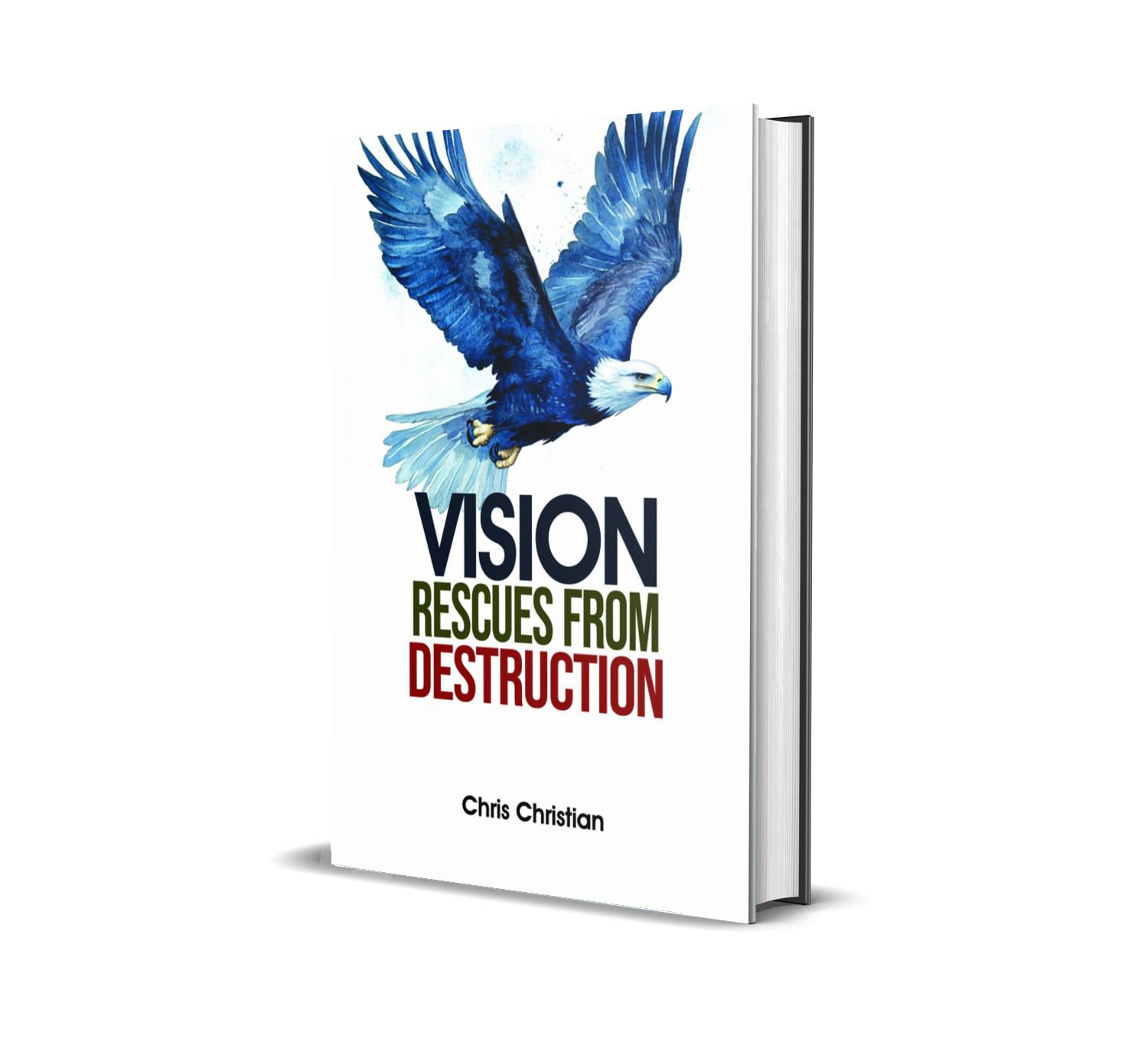 VISION RESCUES FROM DESTRUCTION