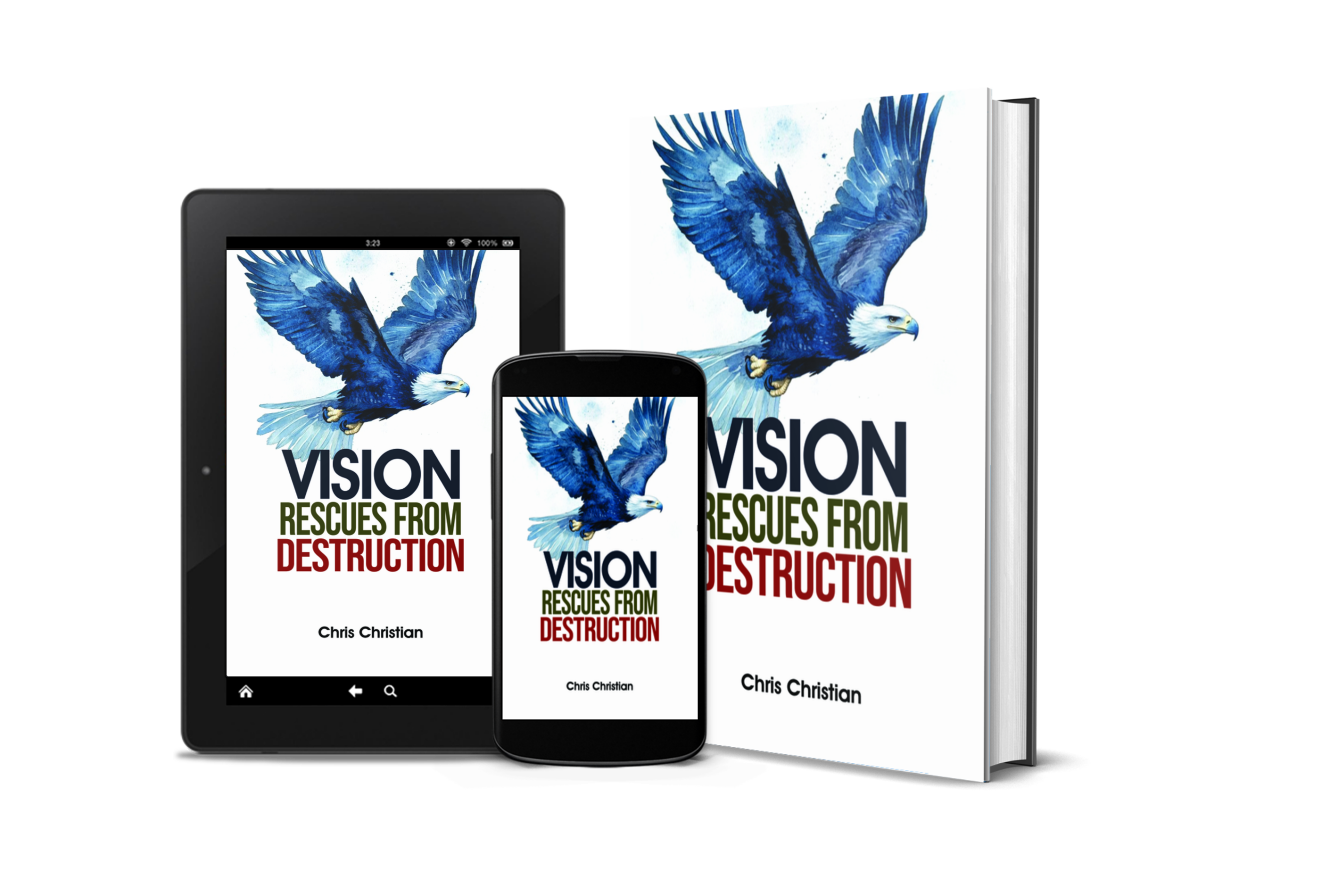 VISION RESCUES FROM DESTRUCTION - Image 3