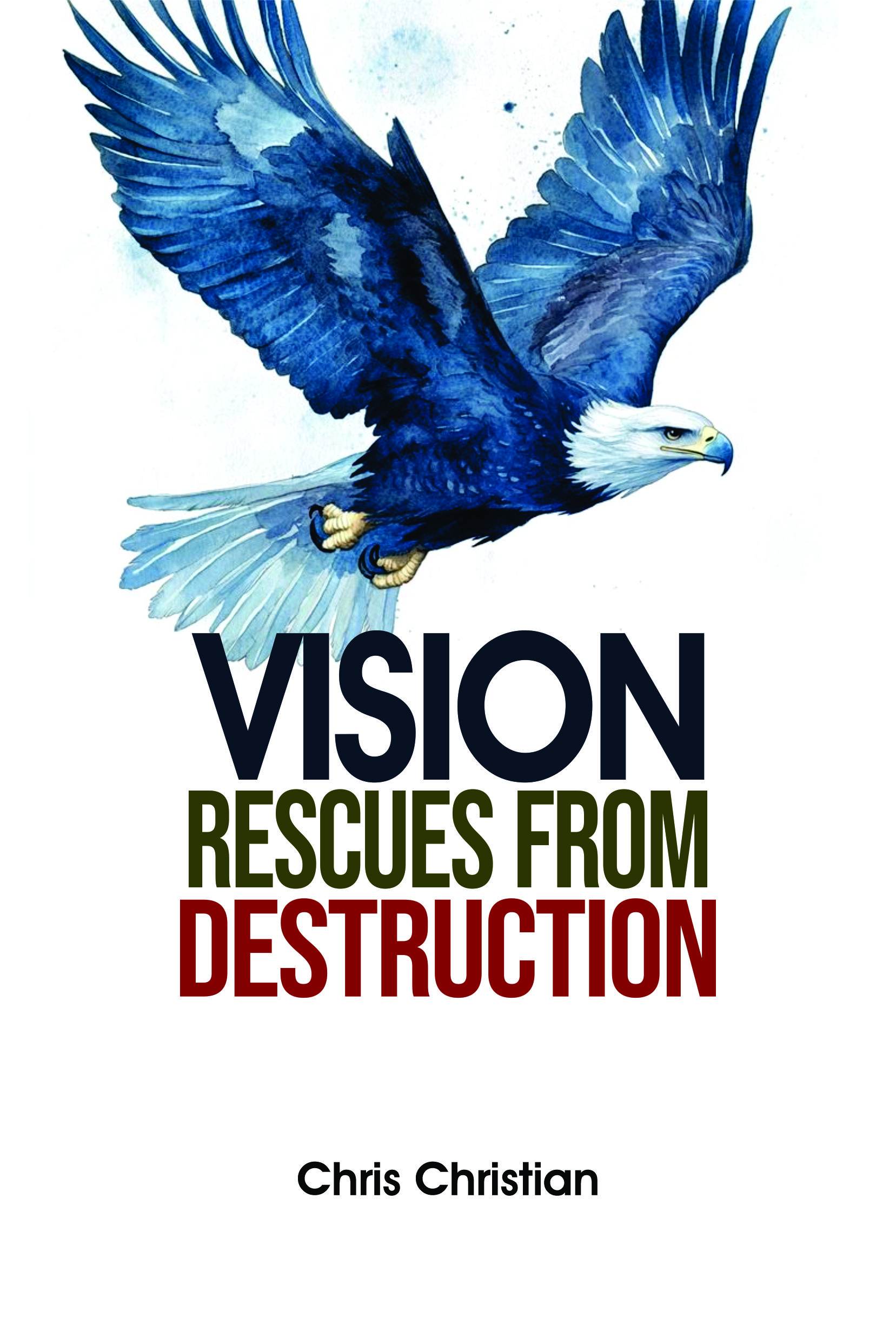 VISION RESCUES FROM DESTRUCTION - Image 2