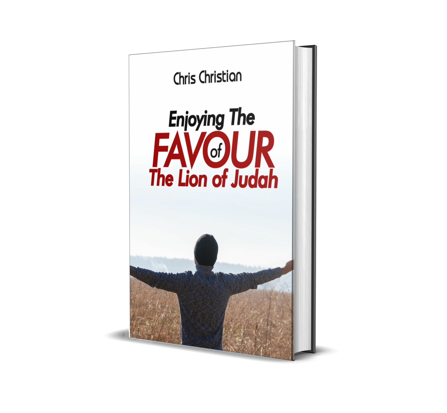 Enjoying the Favour of the Lion of Judah