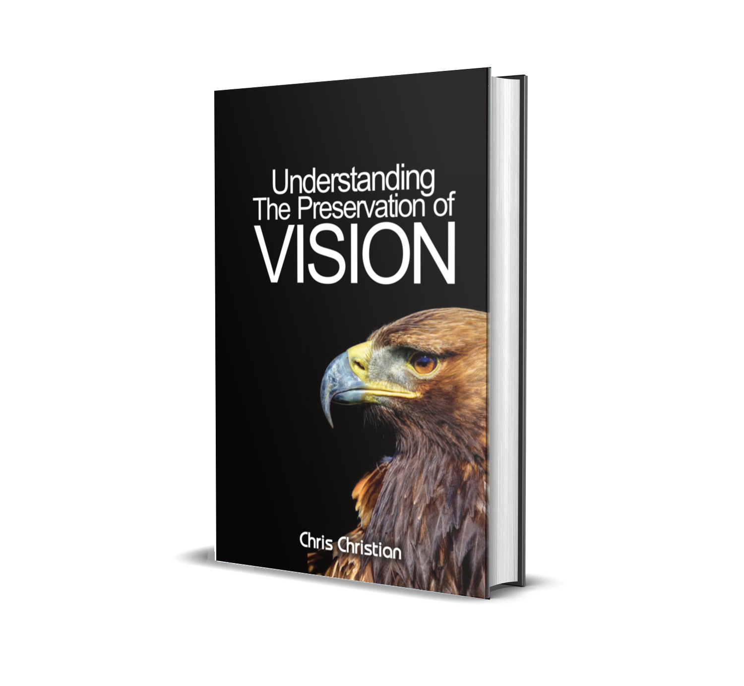 Understanding the Preservation of Vision