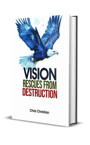 Vision Rescues from Destruction